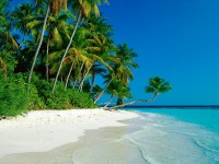 /album/forex-motivacia/forex-motivacia-1-jpg/